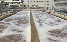 除磷劑是什么藥劑？水里的總磷來自哪里？