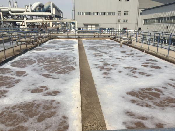 除磷劑是什么藥劑？水里的總磷來自哪里？